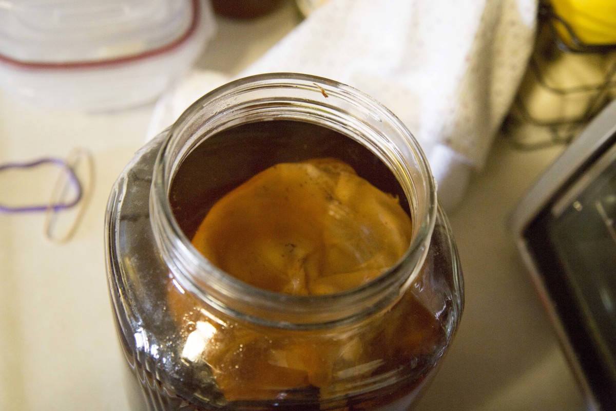 Kombucha SCOBY: What Is It And How To Make Your Own