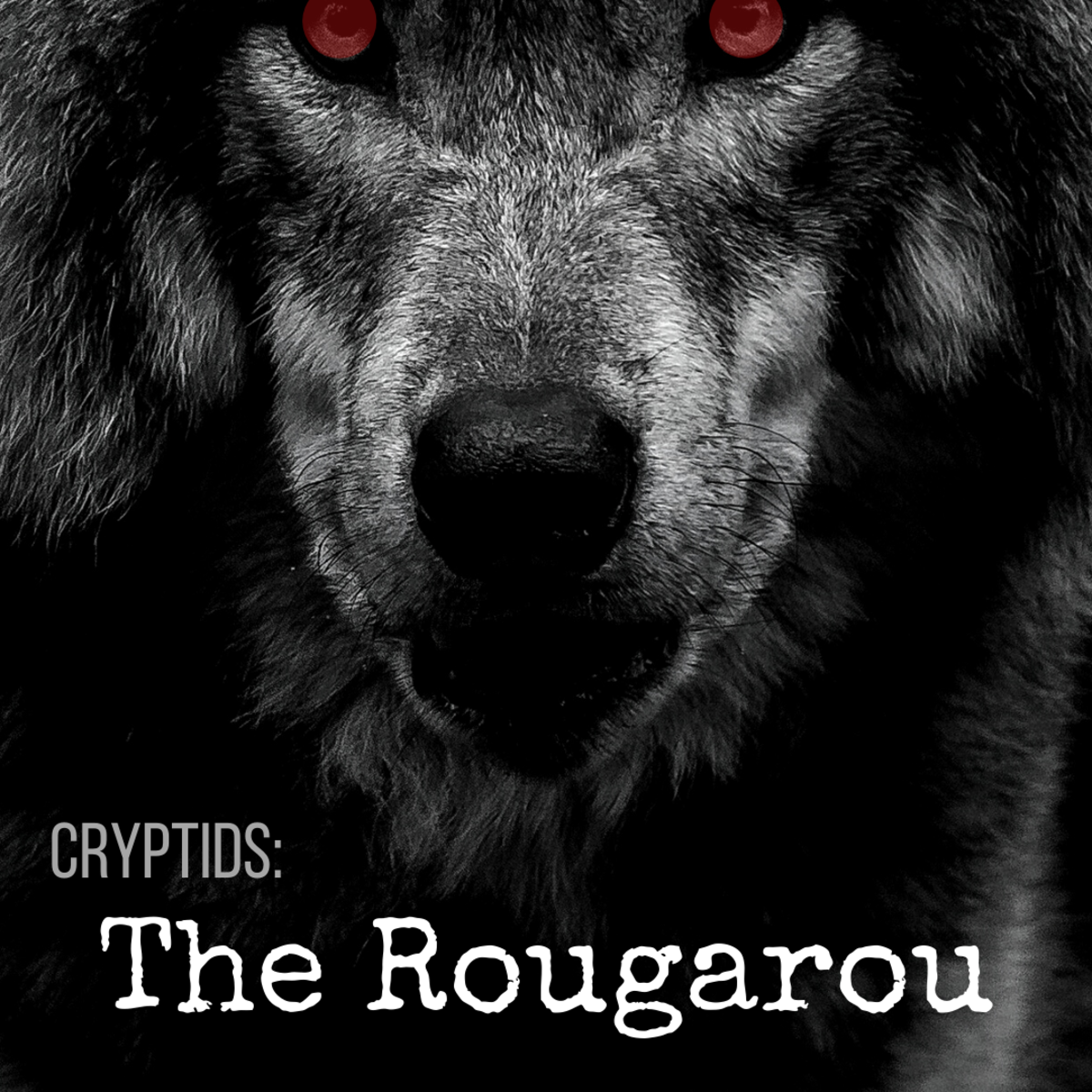 发现路易斯安那州传说中的狼人:鲁加鲁。
