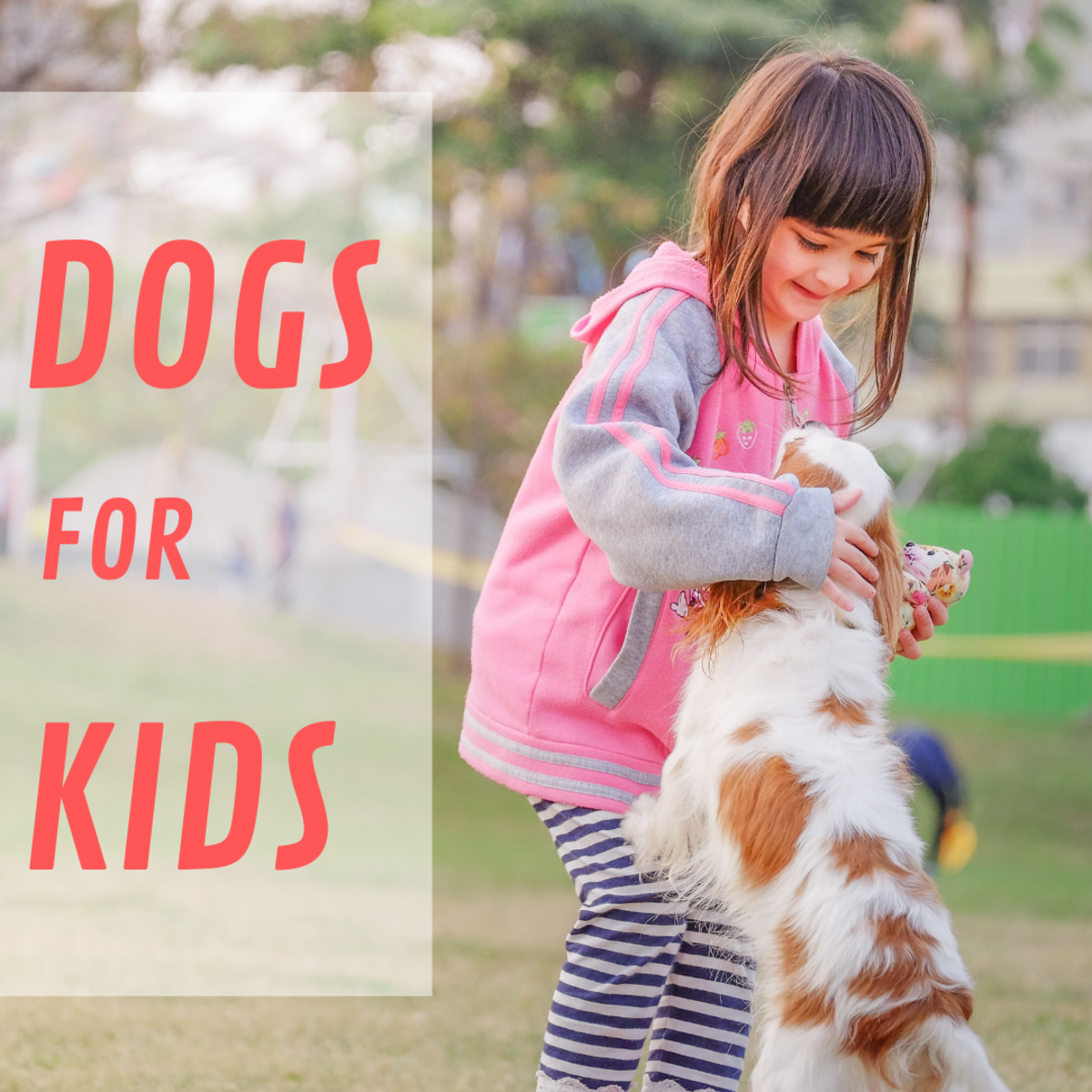 Most kids are drawn to dogs as pets.