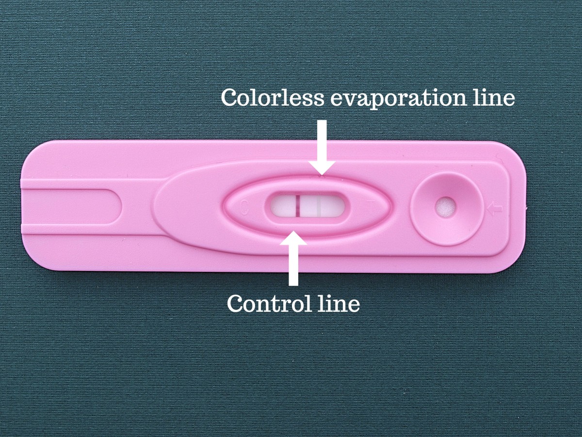 How to Interpret the Results of an Evap Line on a Pregnancy Test