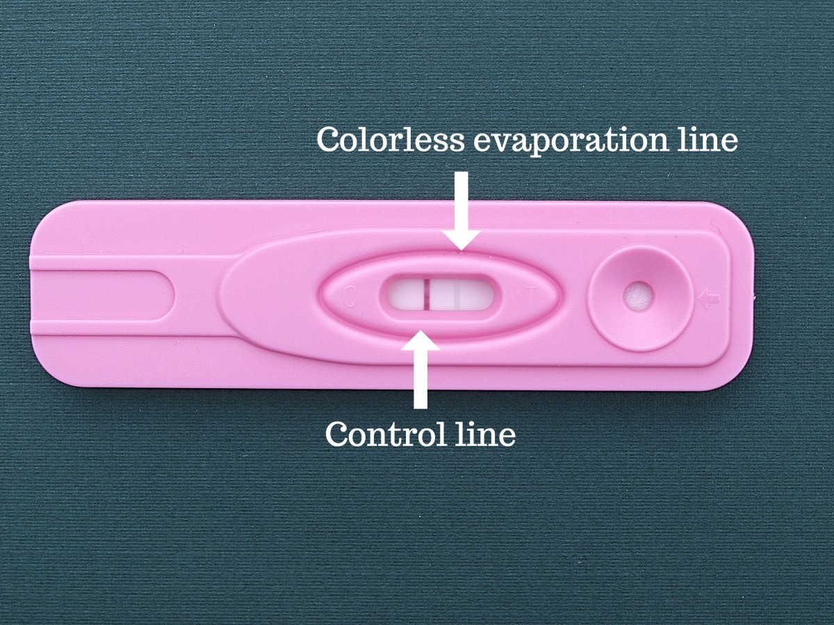 How To Interpret The Results Of An Evap Line On A Pregnancy Test 