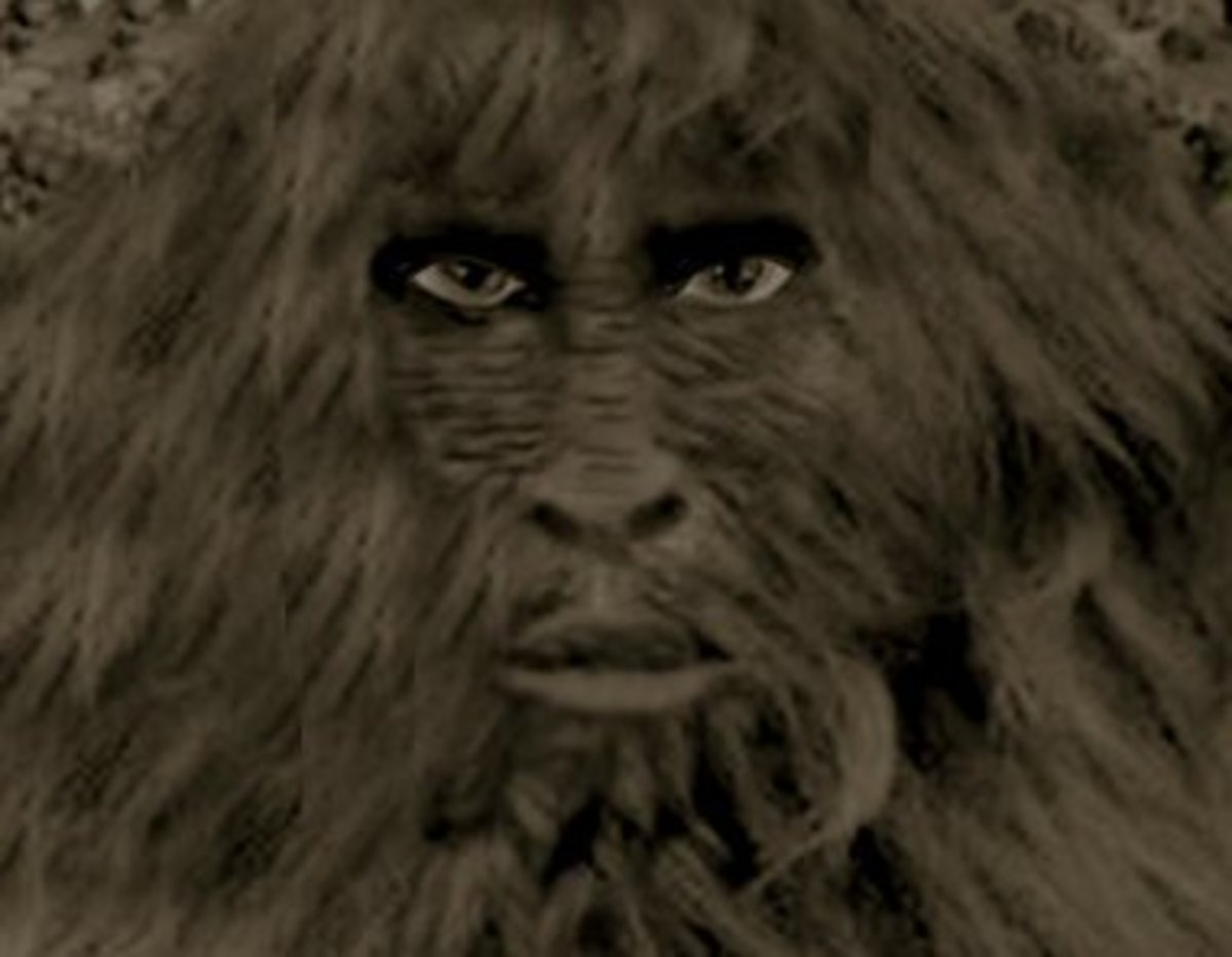 The Honey Island Swamp Monster: Bayou Bigfoot