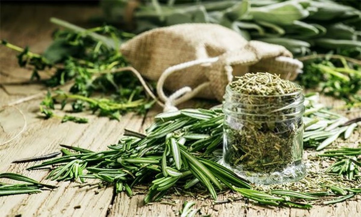 Substitute Dried Rosemary for Fresh: How to Dry Rosemary