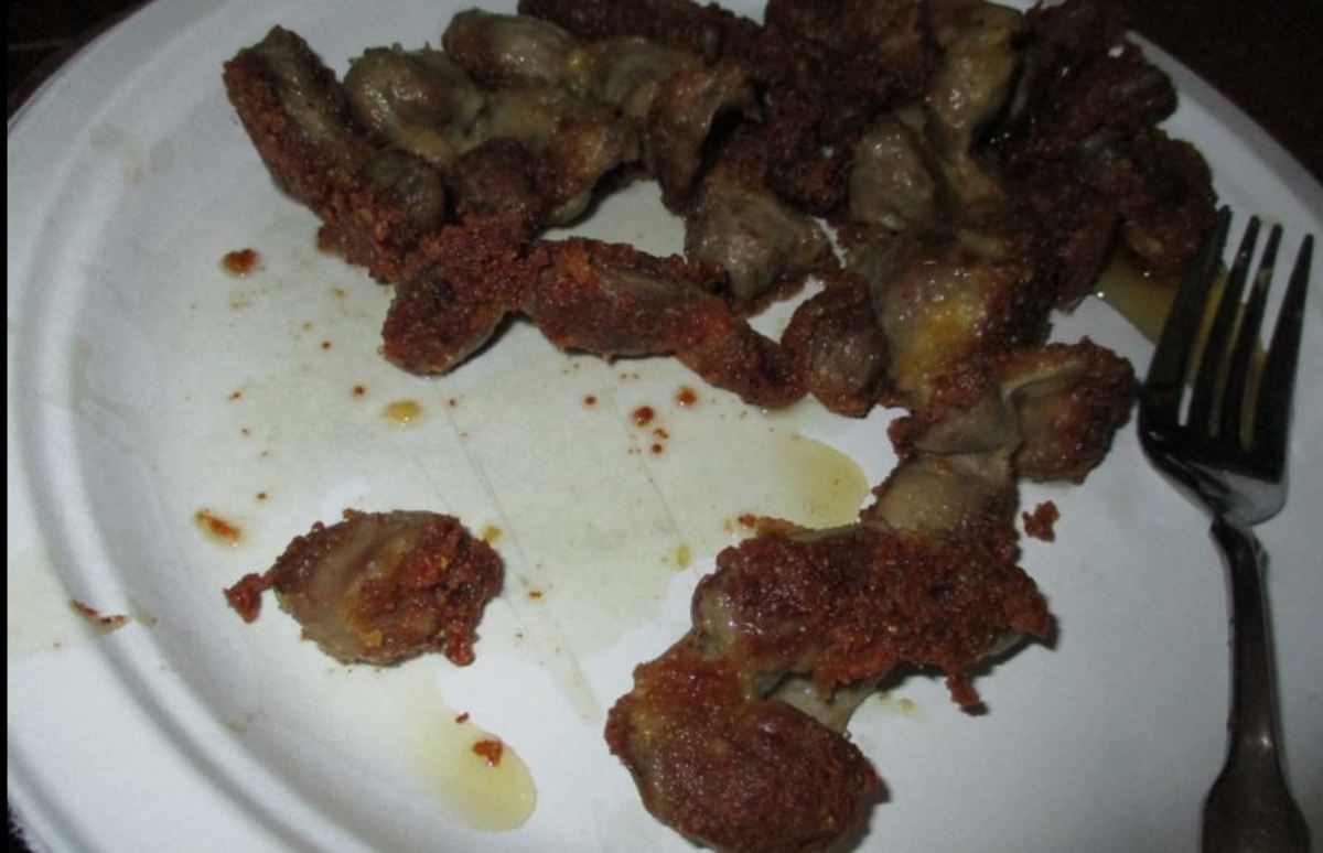 minnesota-cooking-fried-chicken-gizzards-in-20-minutes