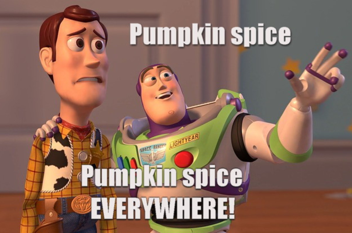 15 Totally Unnecessary Pumpkin Spice Products