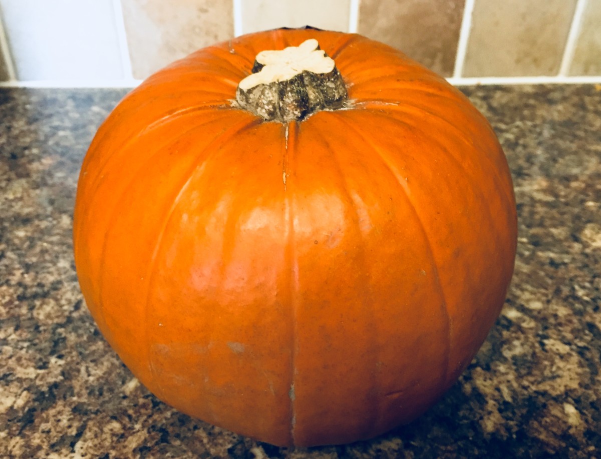 Pumpkins are often overlooked by Brits when cooking, but they are a versatile ingredient to use in sweet and savoury dishes