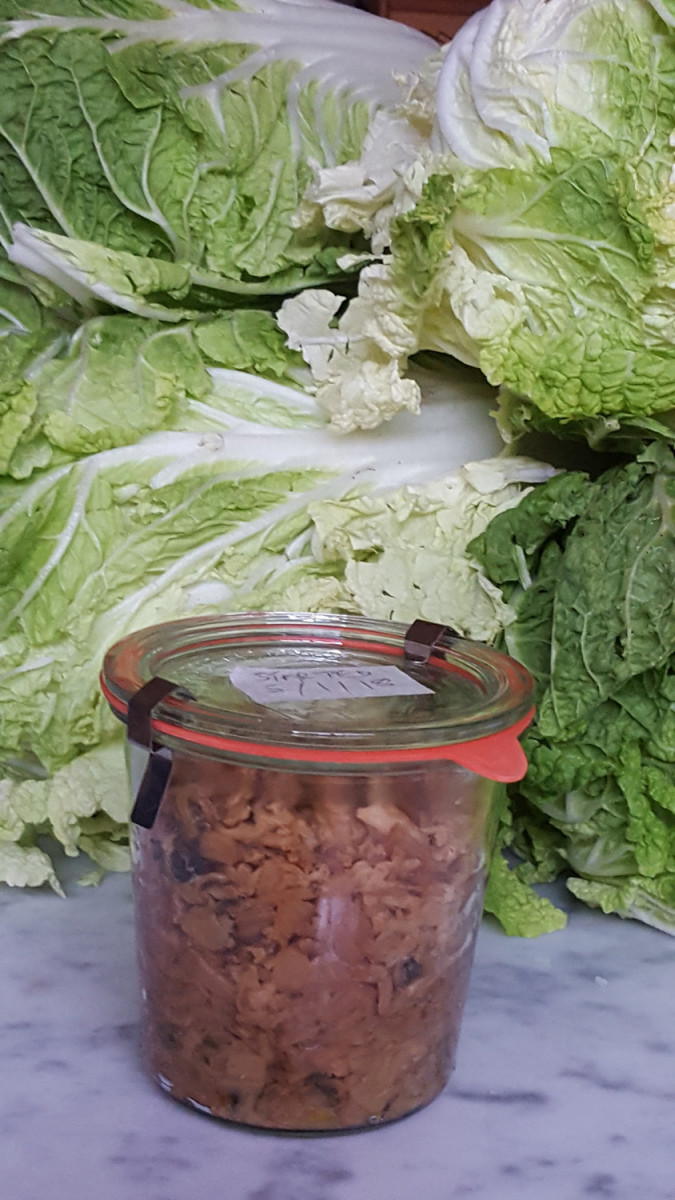 Dongcai is preserved Chinese "celery" cabbage (aka Tientsin cabbage, Napa or Nappa cabbage)