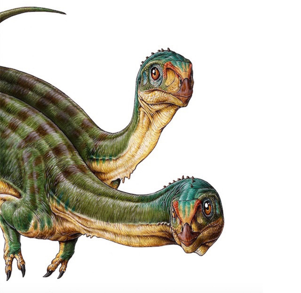 Dinosaur Discoveries of 2015