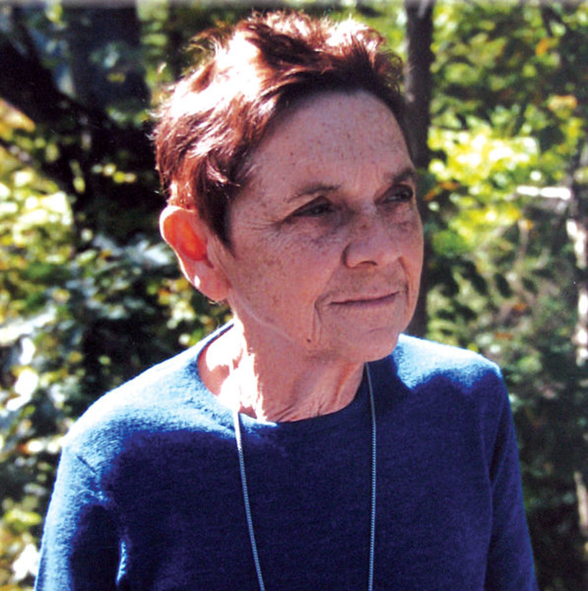 Adrienne Rich's "Diving into the Wreck"