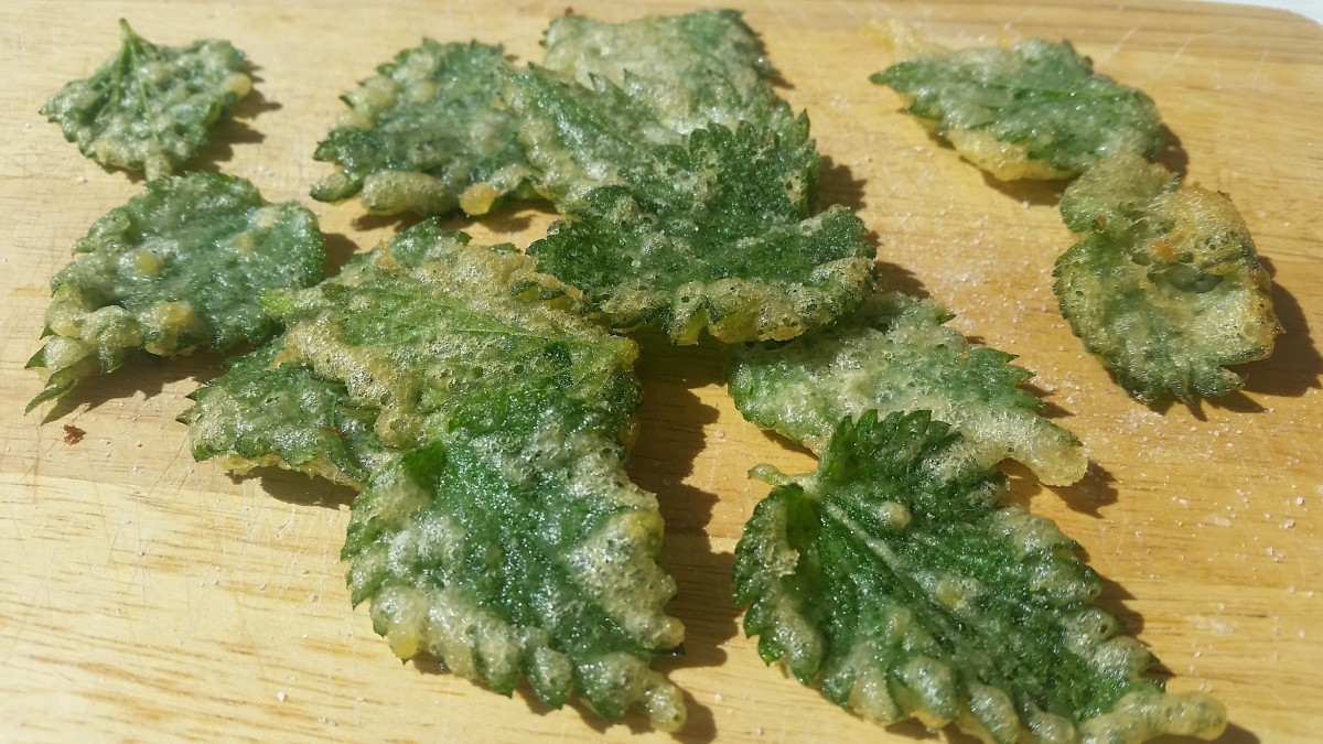 Nettle tempura cooked on a foraging course