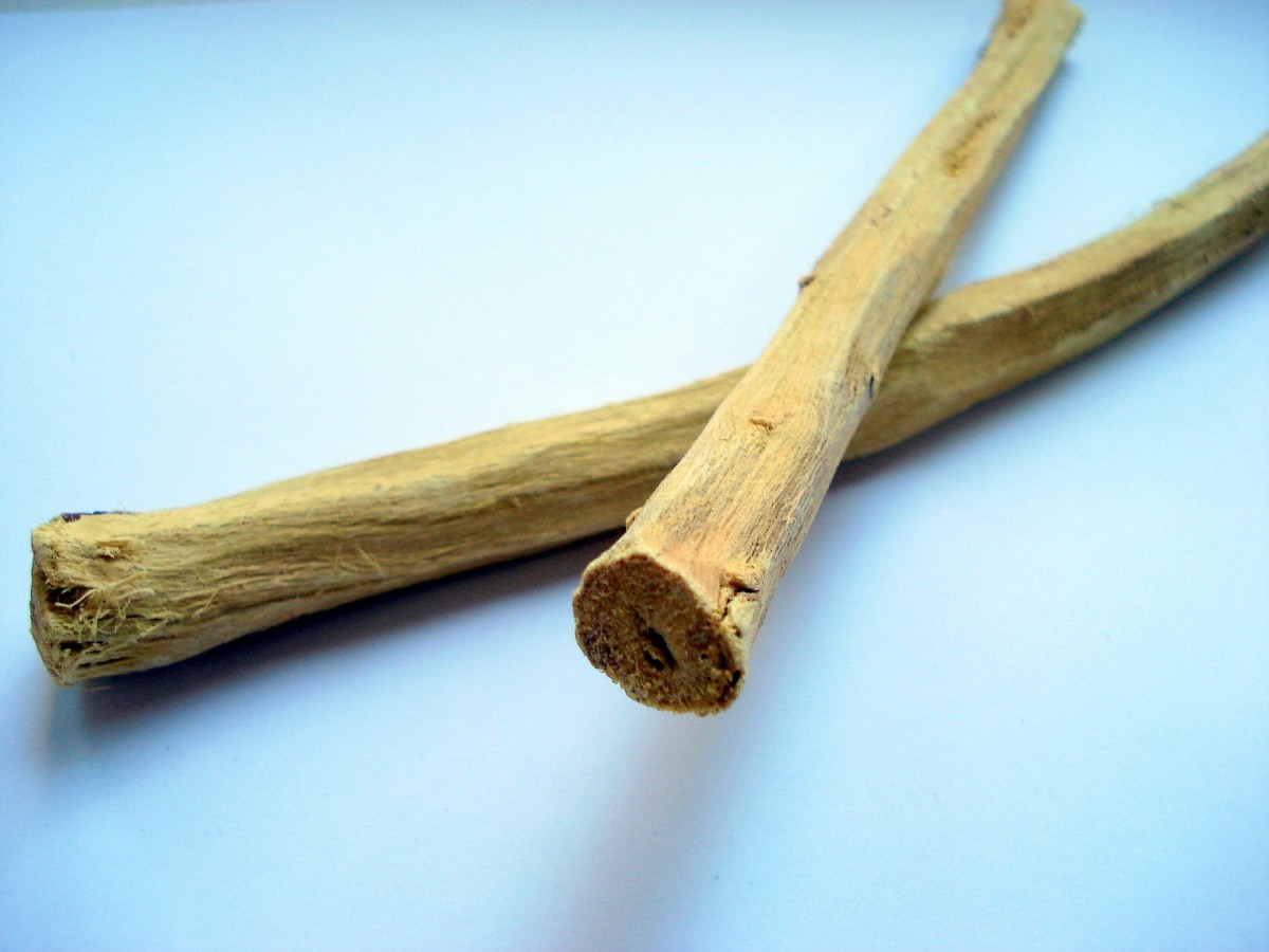 Licorice root is commonly used to flavor candies and tobacco. 