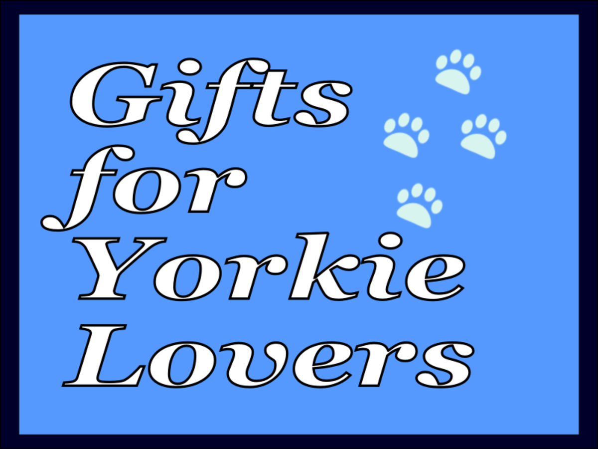 yorkie gifts for her