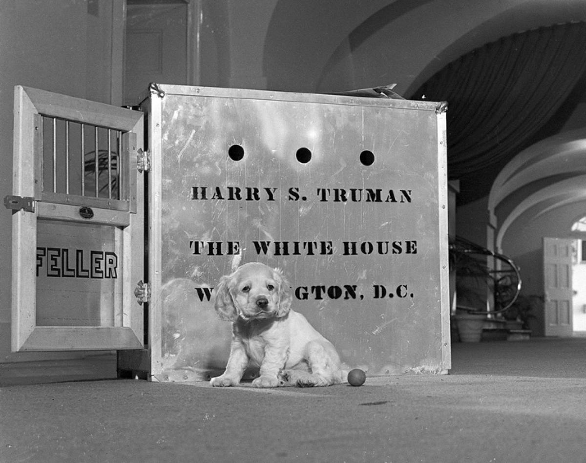 A History of White House Pets (1945-1977)