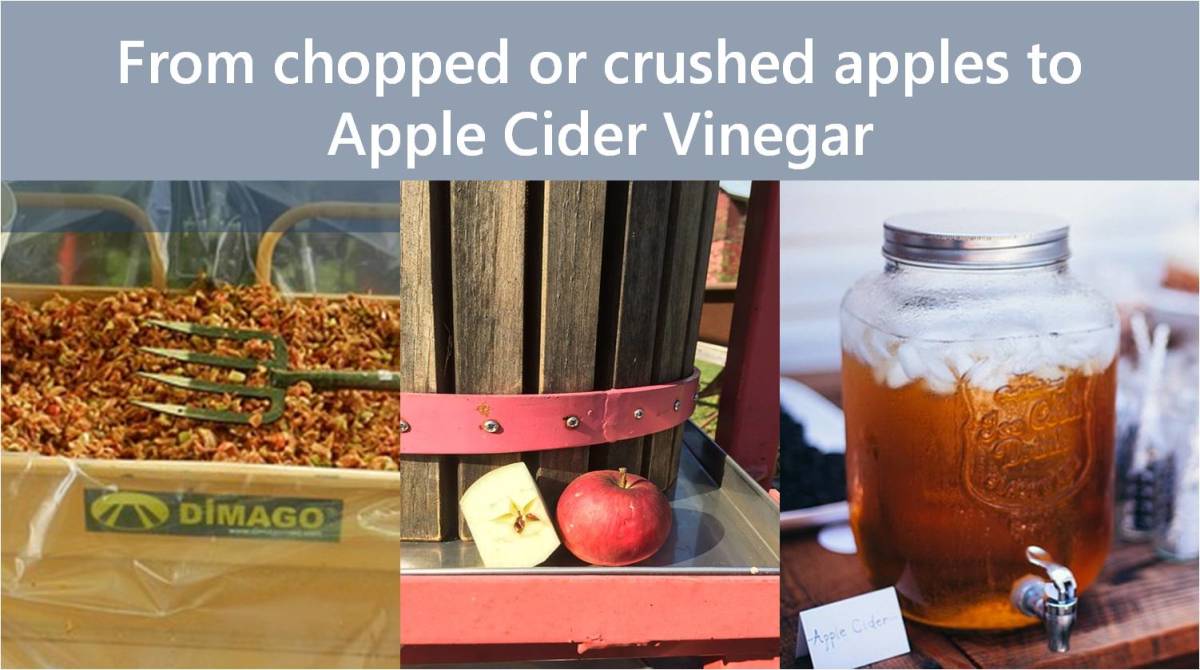 Apple Cider Vinegar Production. Images are from Pixabay.com