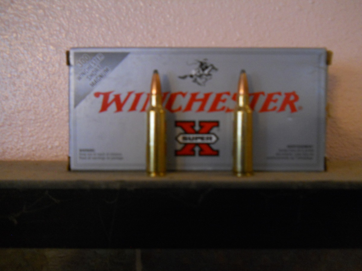 Ammunition Test Winchester Super X 180 Grain Power Point; .300
