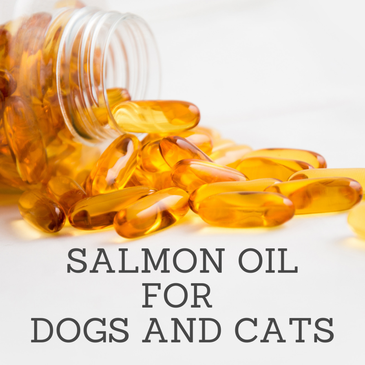 Omega-3 EFA Pure Salmon Fish Oil for Dogs & Cats