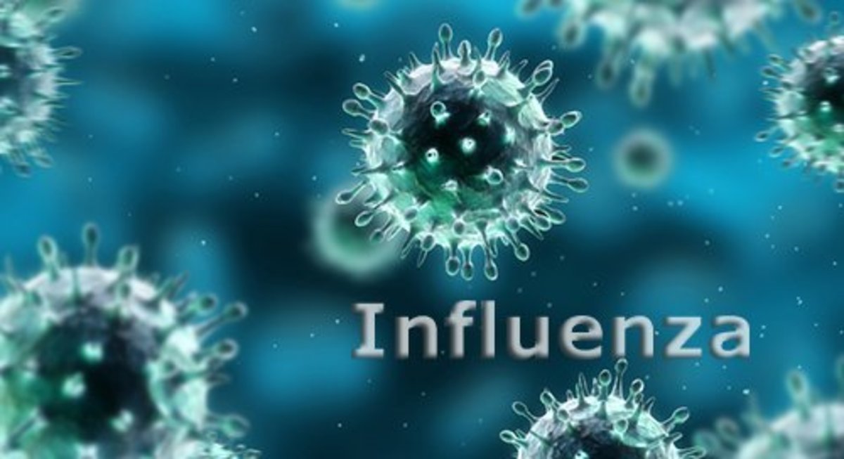 The Epidemiology of Influenza