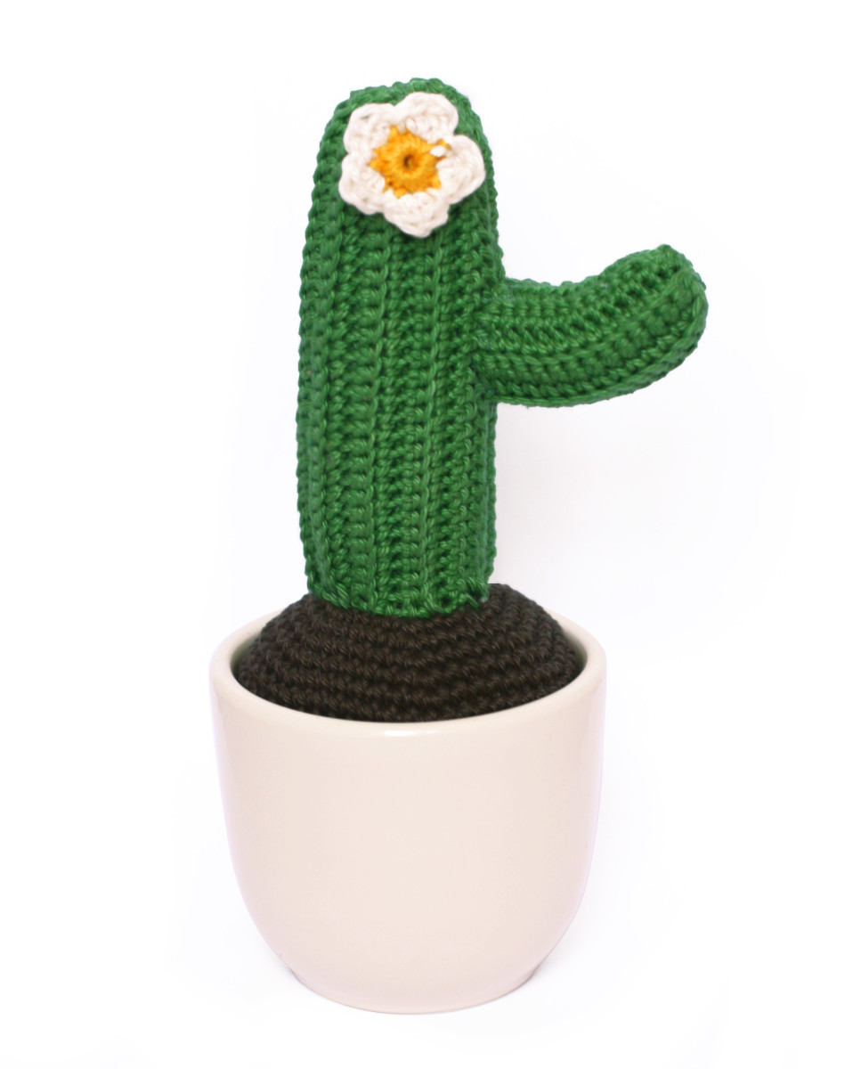 Cactus Crochet Pattern (Free!)