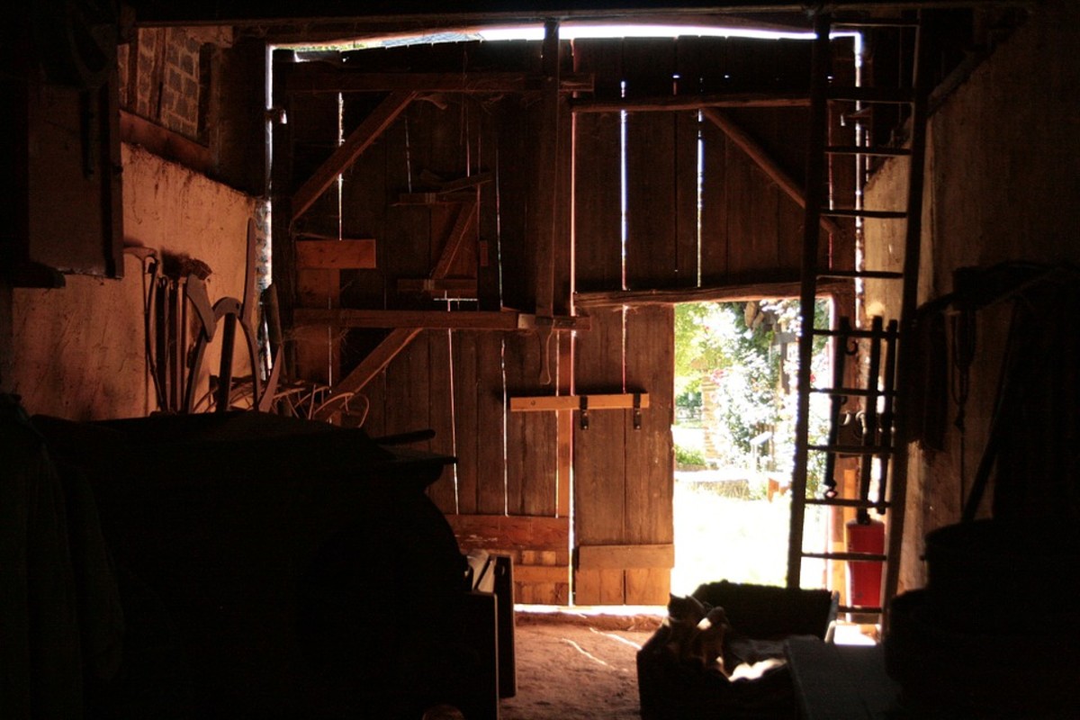 the-barn