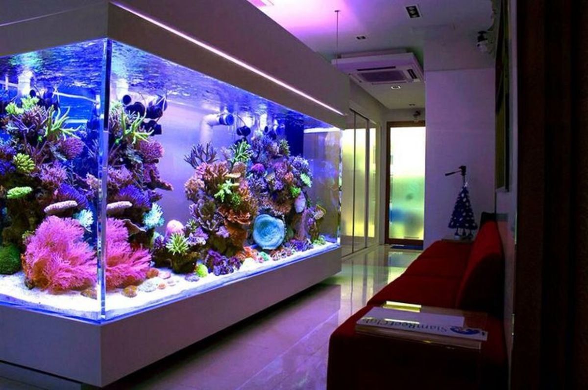 A beautiful aquarium can be the center of your home, but watch out for making these common fishkeeping mistakes.