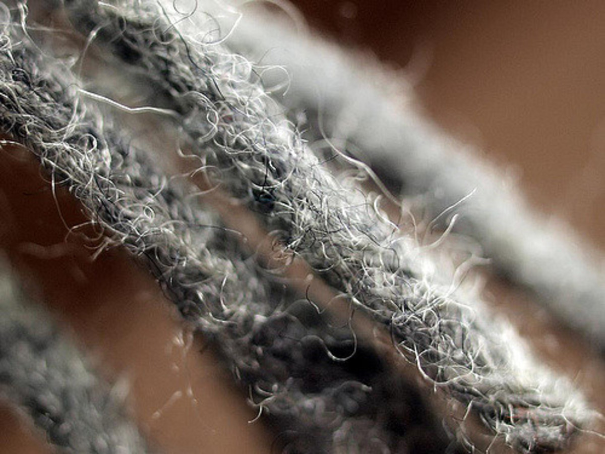 What Is Cashmere and What's So Special About It?