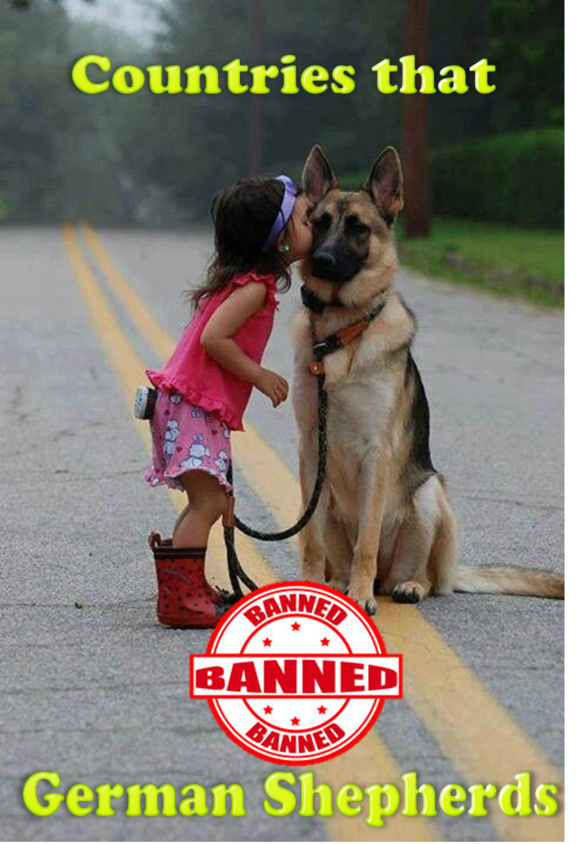 11 Countries Where German Shepherd Dogs Are Banned or ...
