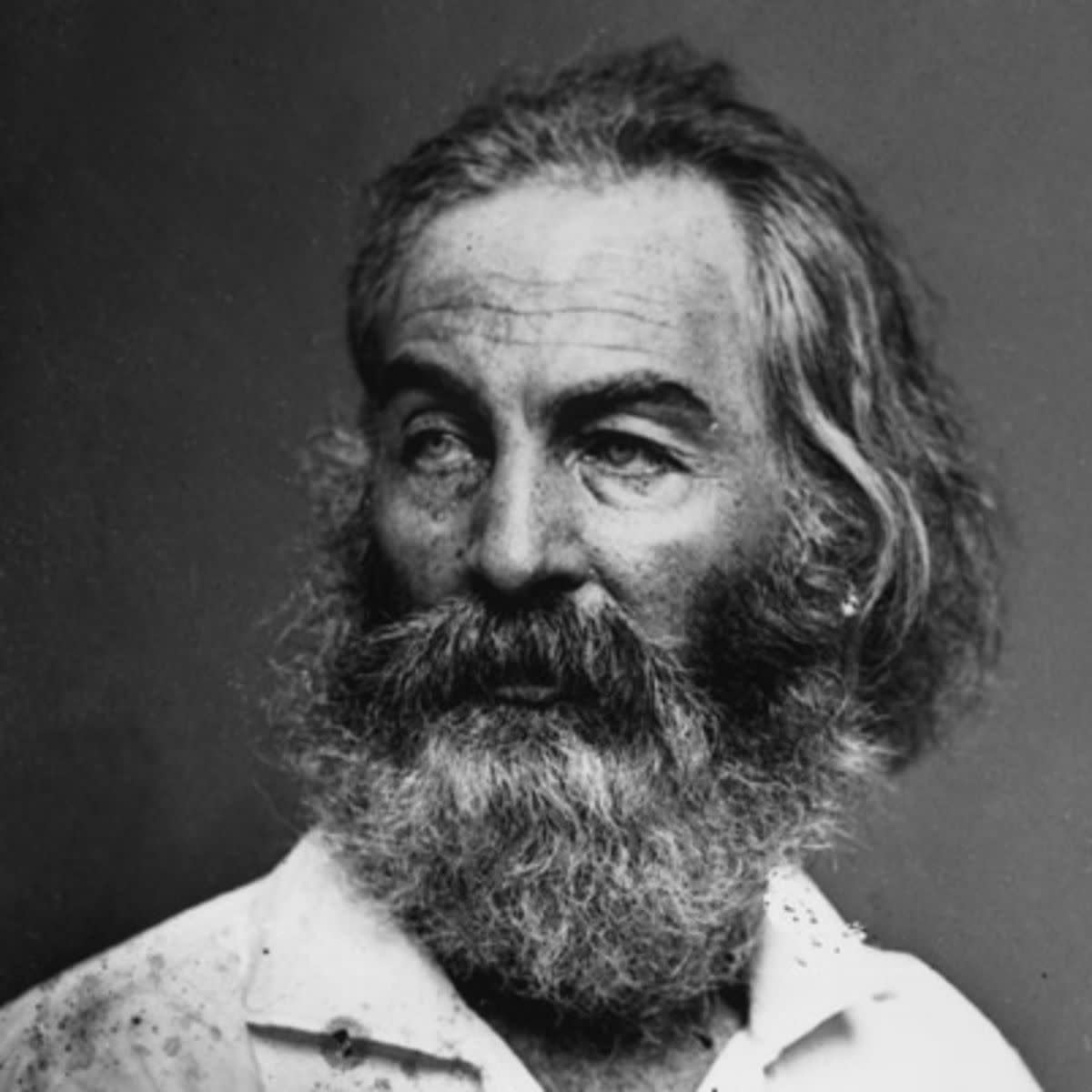 Walt Whitman's "When I Heard the Learn'd Astronomer"