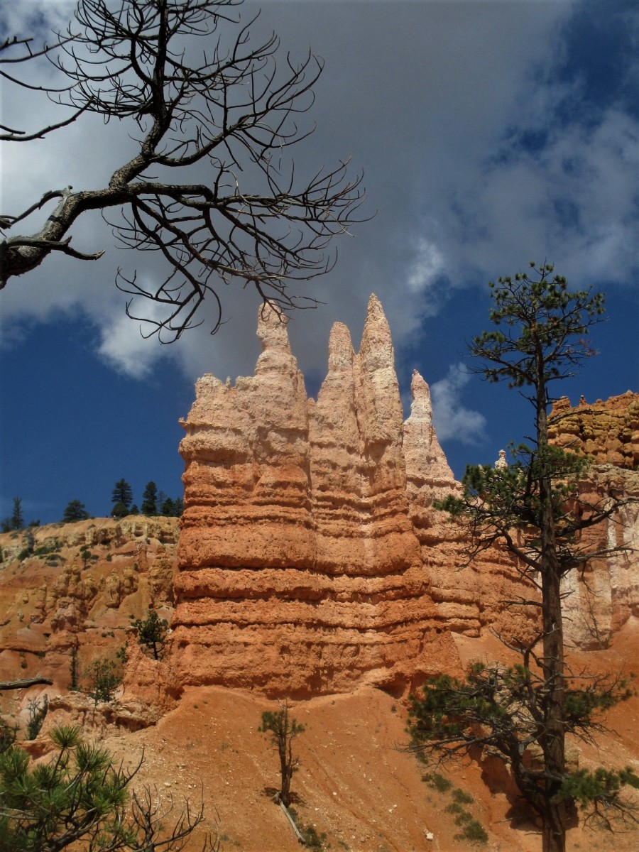 Bryce Canyon National Park in a Day