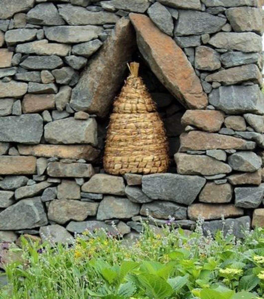 Scottish Bee Skep with Heather Plants