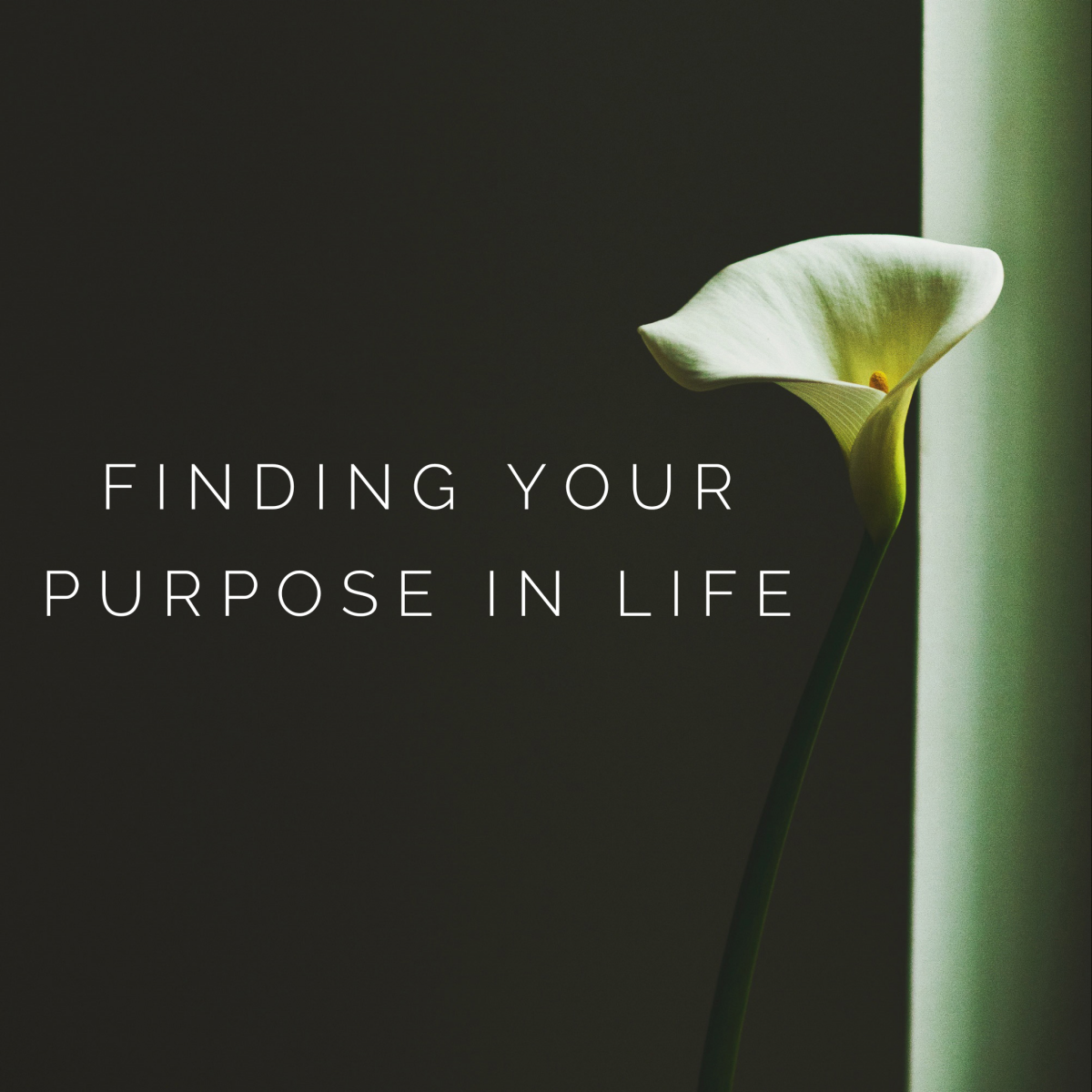 your-purpose-in-life