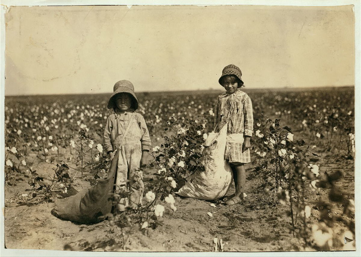 Young Cotton Pickers