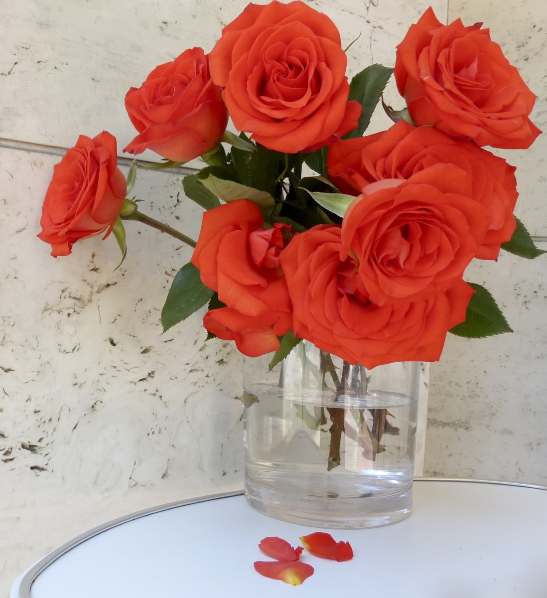 Roses Standing Proudly in a Vase; A Lovely Floral Display: Poetry