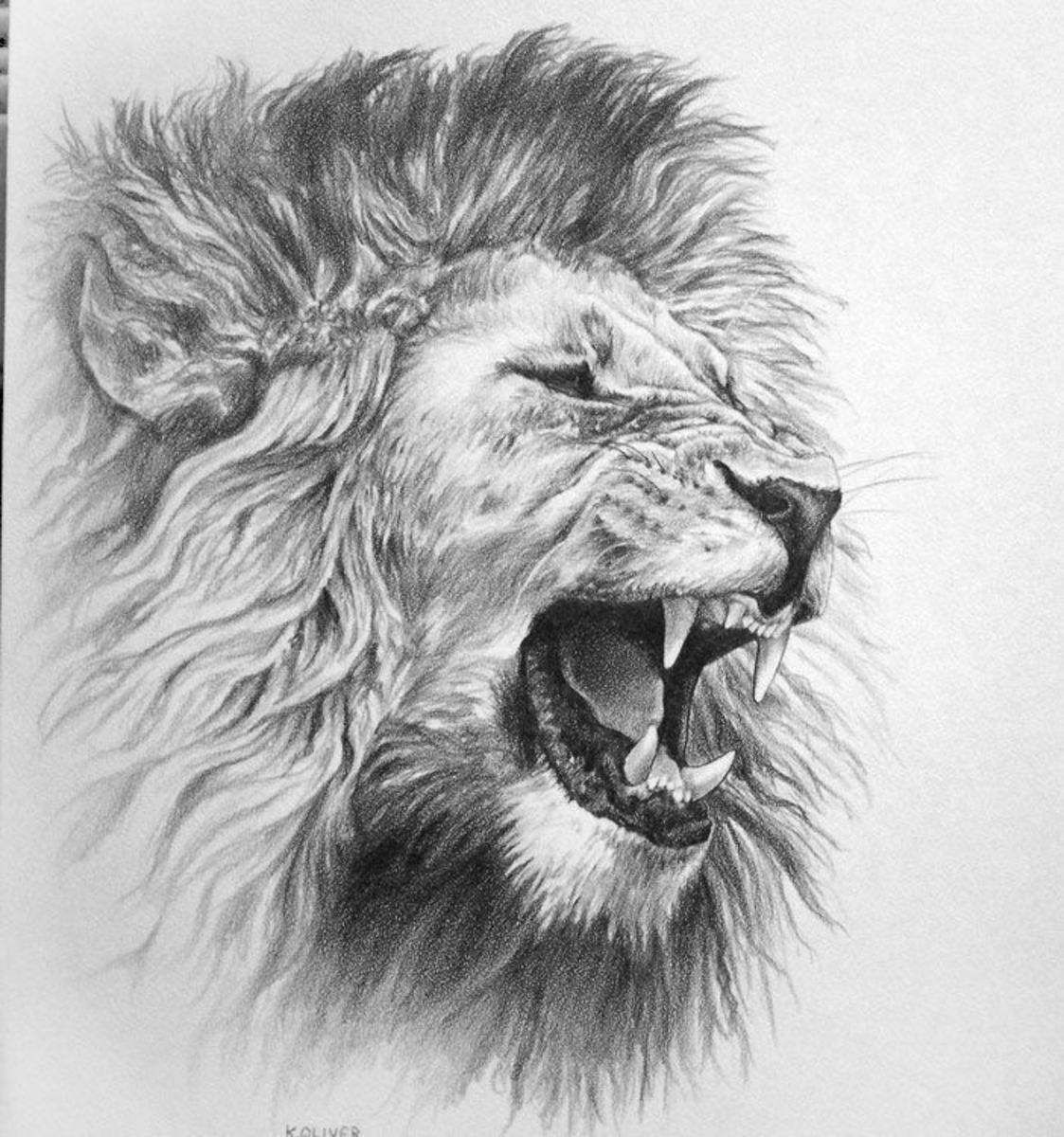 Lion Hearted