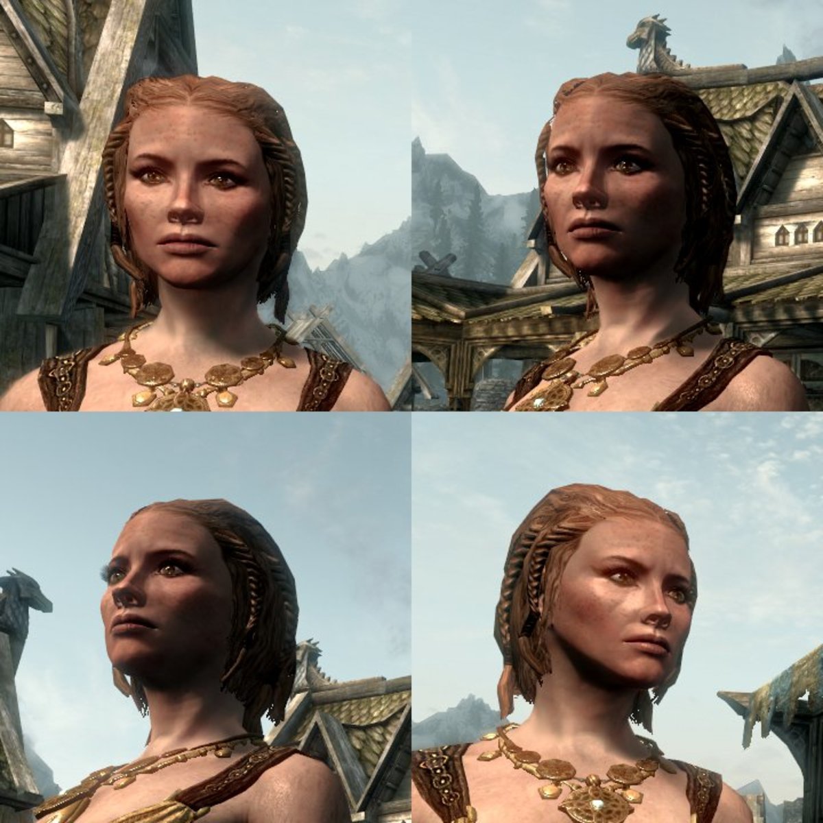 This character uses navetsea's Female Face Retexture. I find navetsea's works well for wrinkles, but is overkill for Nords (who have no wrinkles to speak of).