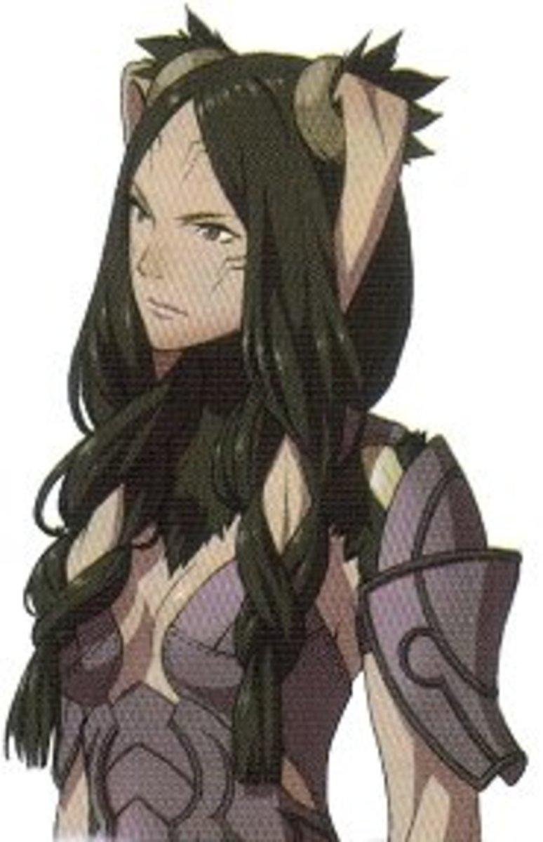 Fire emblem awakening panne