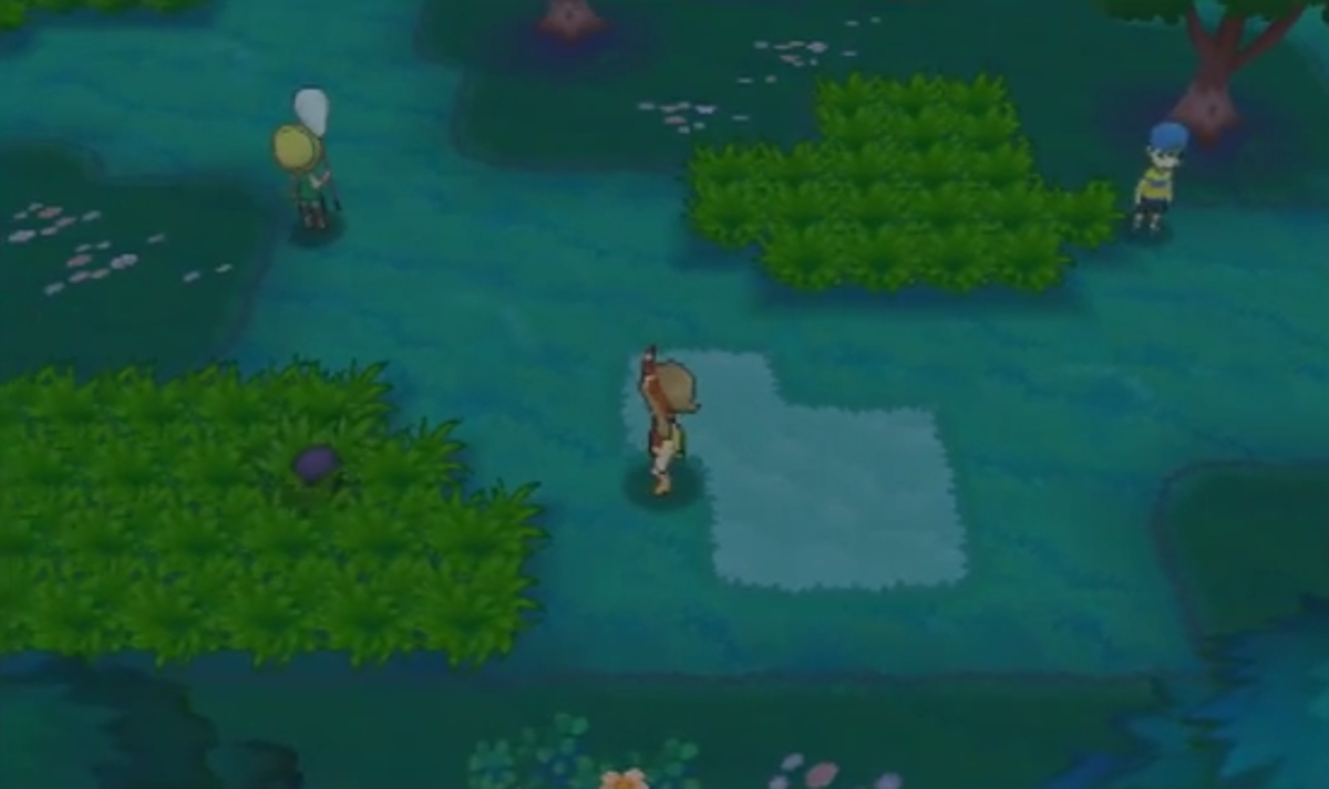 Route 102 in Pokémon Omega Ruby and Alpha Sapphire. It's kinda simple, befitting an early Route.