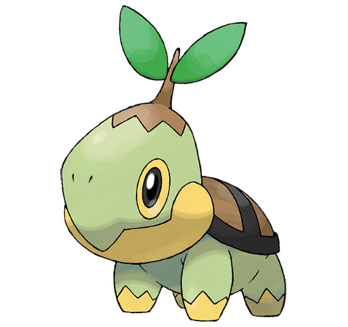 Turtwig