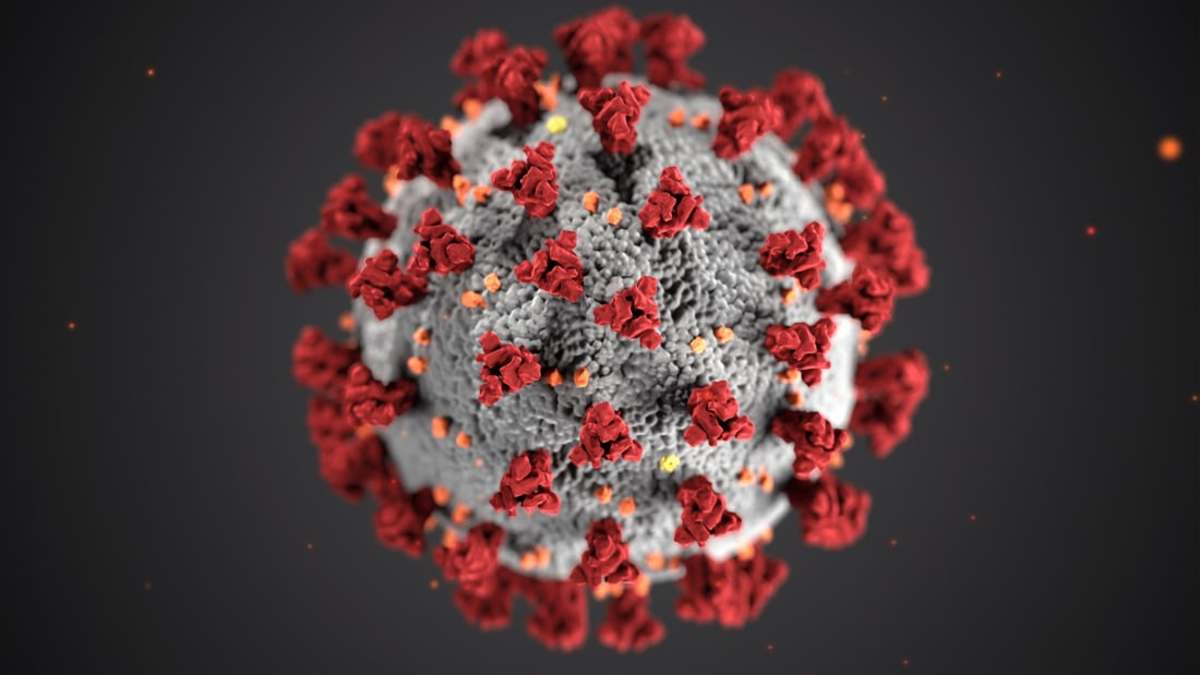 A virus.