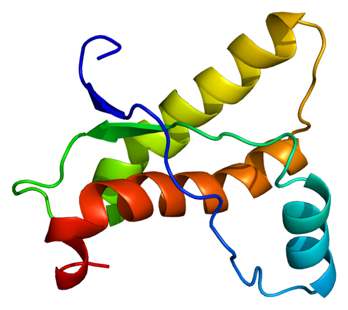 A prion protein.
