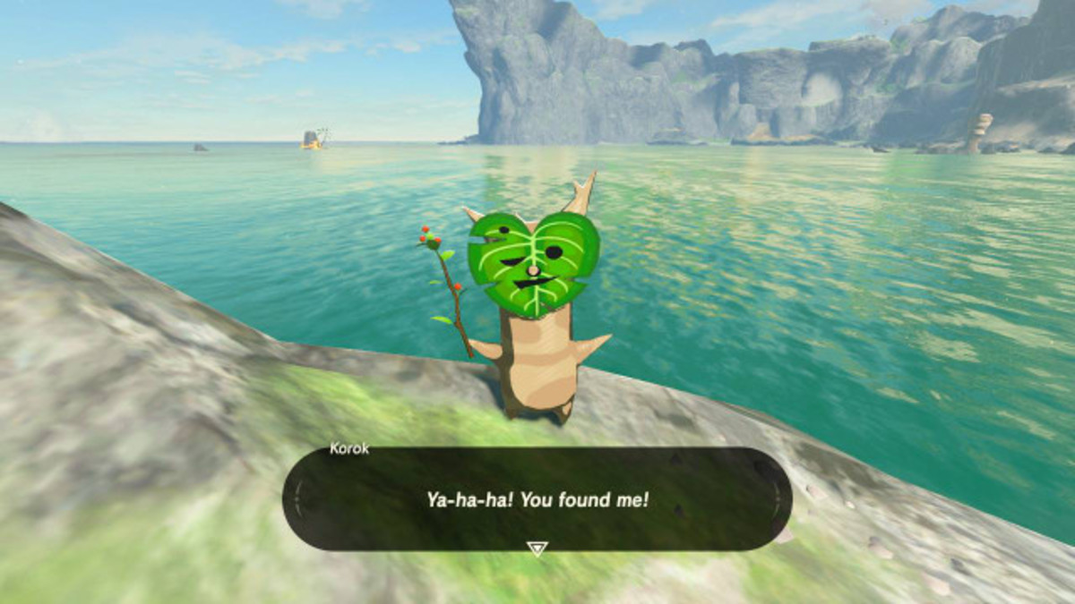 When you find a Korok out in the world, it'll reward you with a seed. Bring it to Hestu in the Lost Woods, and he'll expand your inventory for you! 