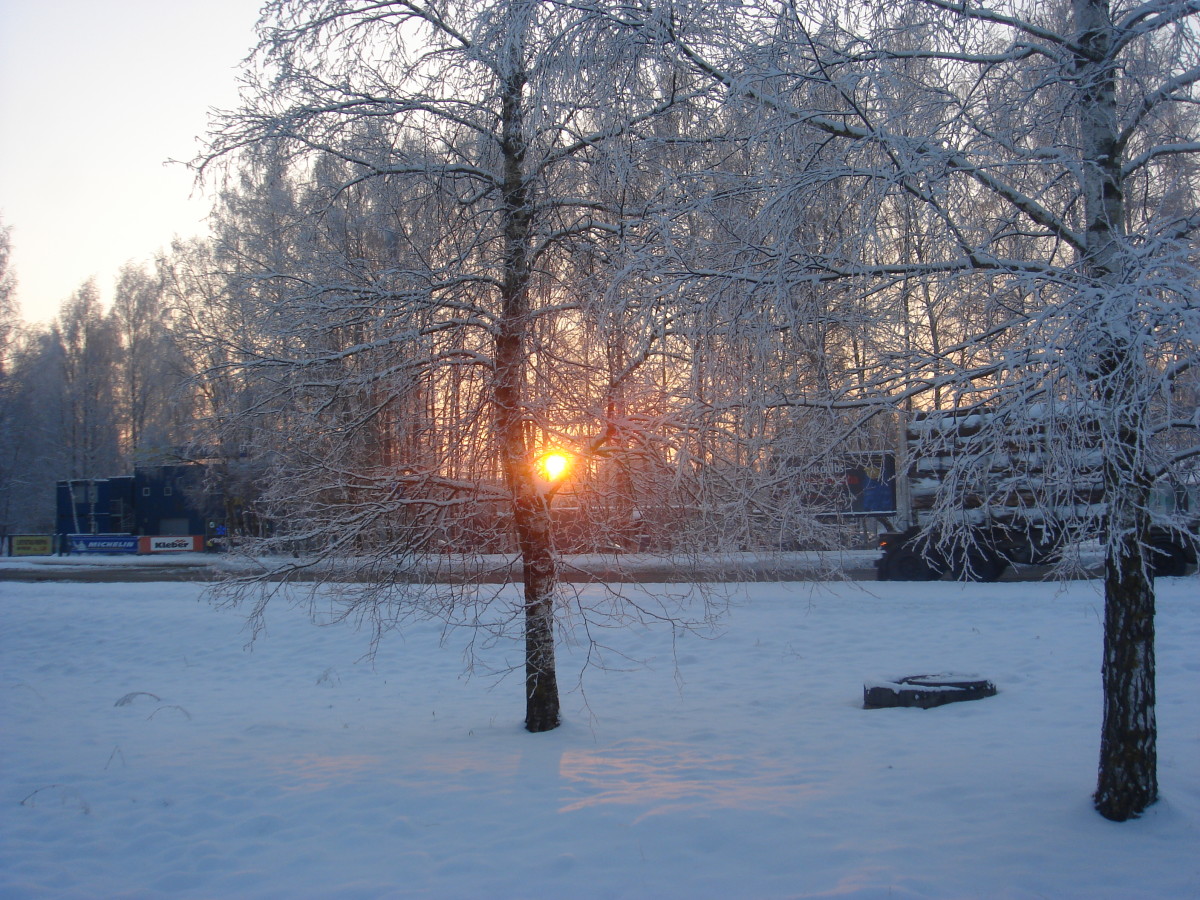 in-a-winter-wonderland
