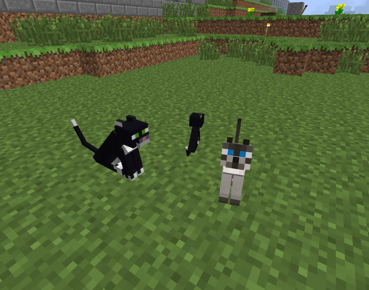 Мод на minecraft cat