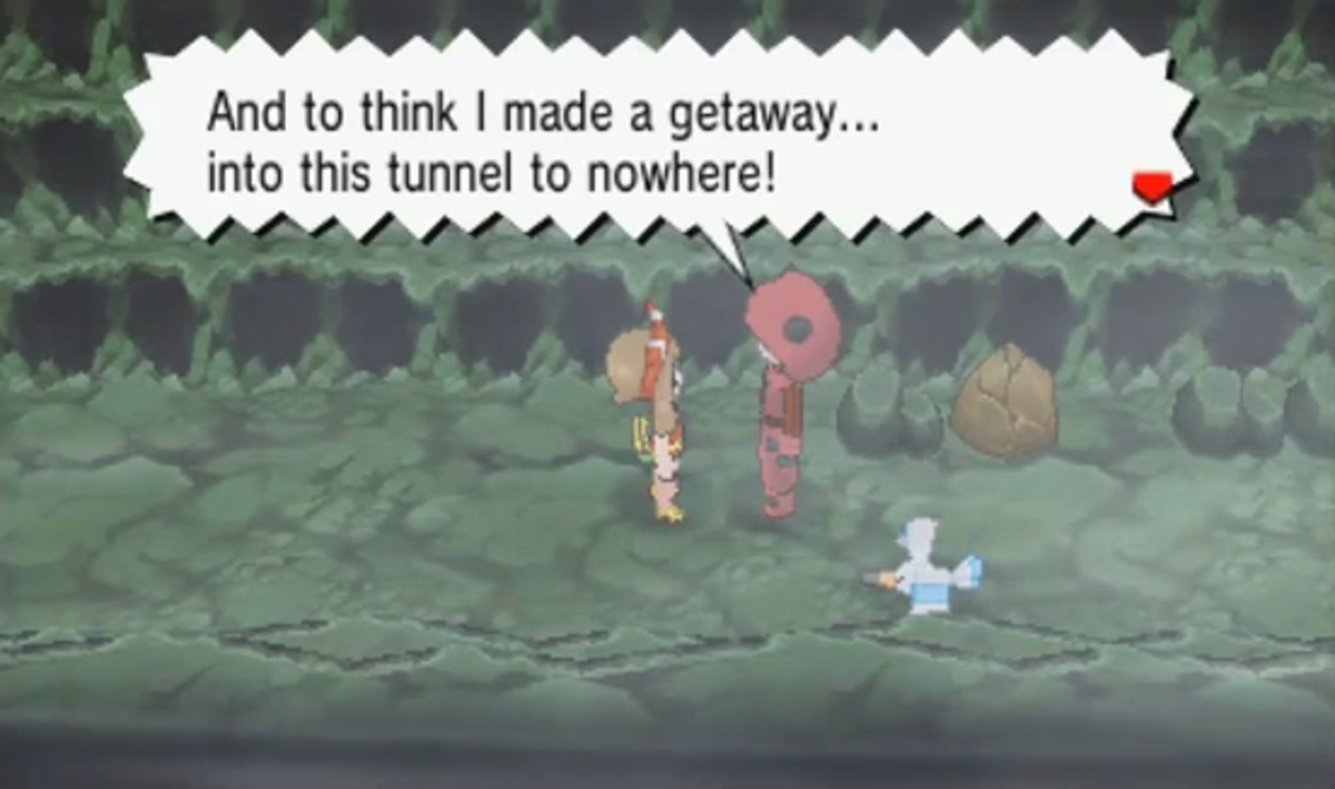 pokemon-omega-ruby-and-alpha-sapphire-walkthrough-part-five-route-116