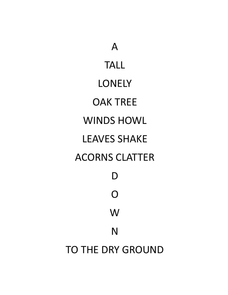 Discover Photo Poetry How to Write for Photos HobbyLark