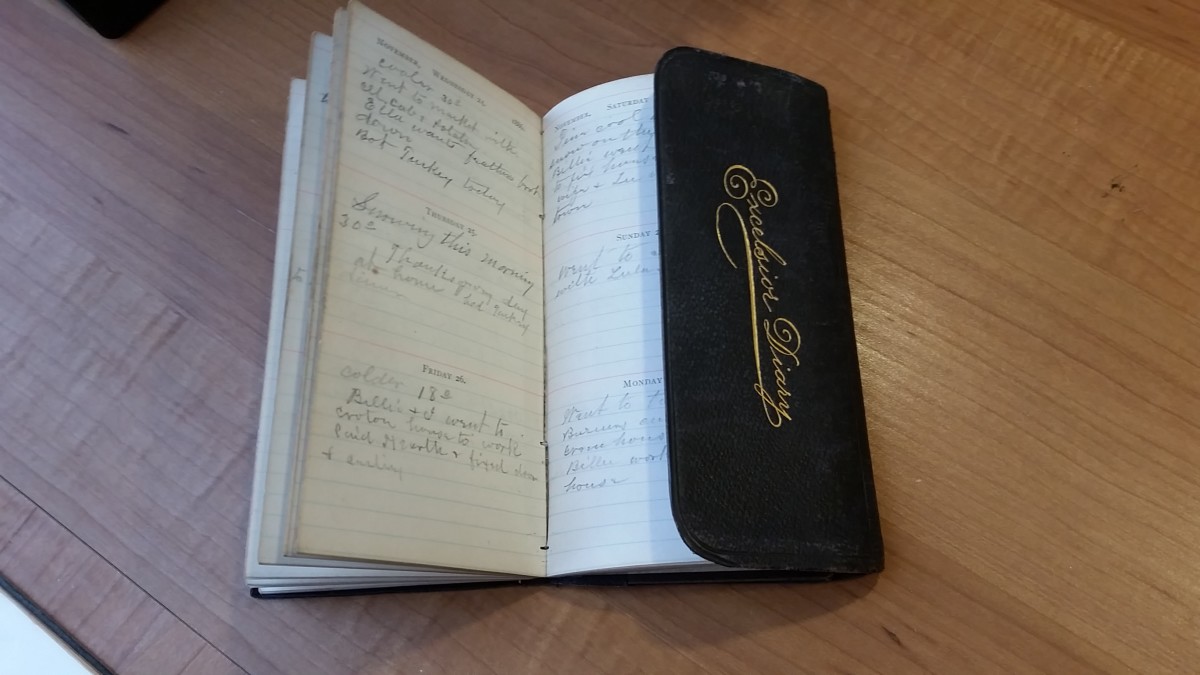 Antique Diaries and Handwritten Journals Online