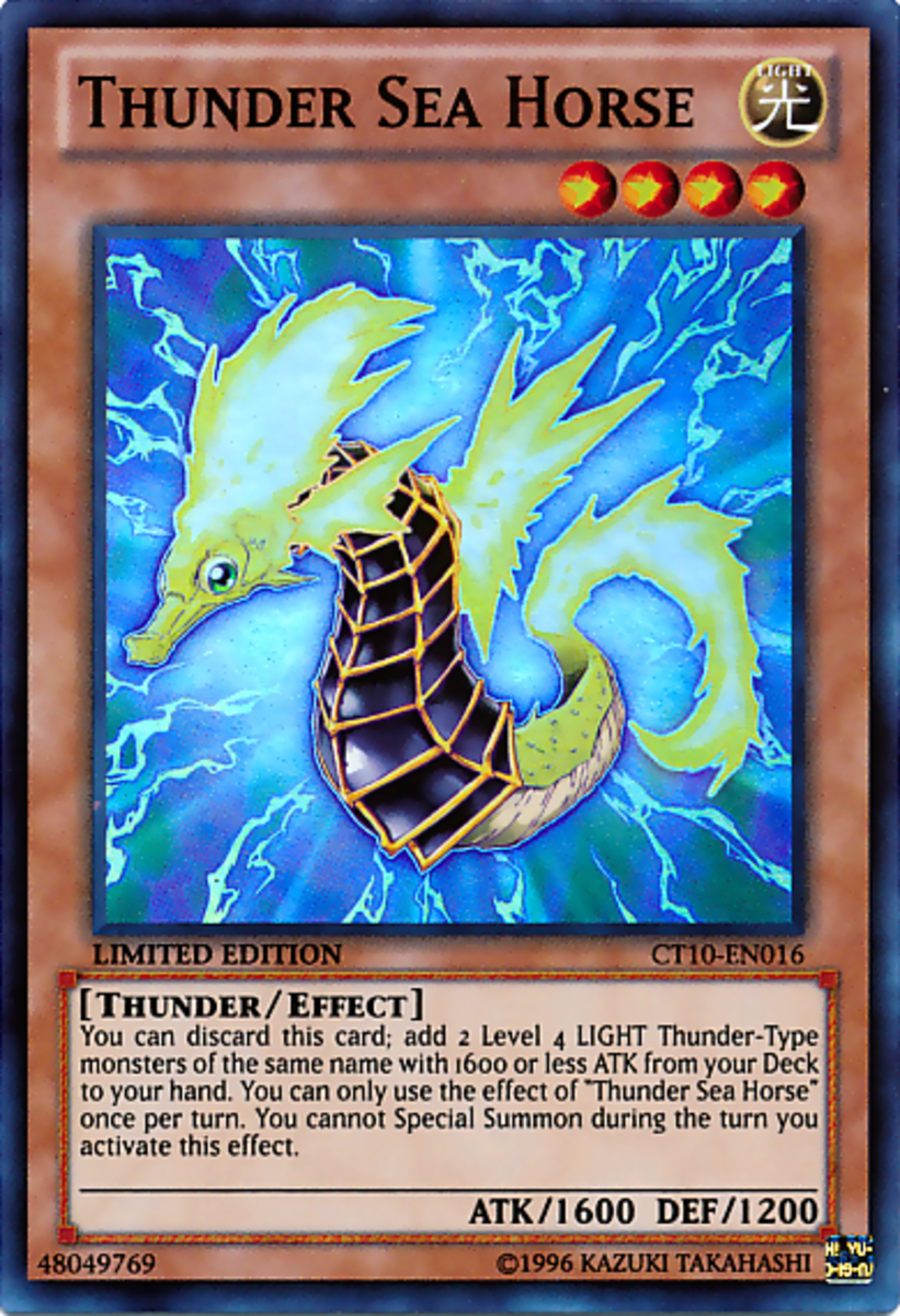 Thunder Sea Horse