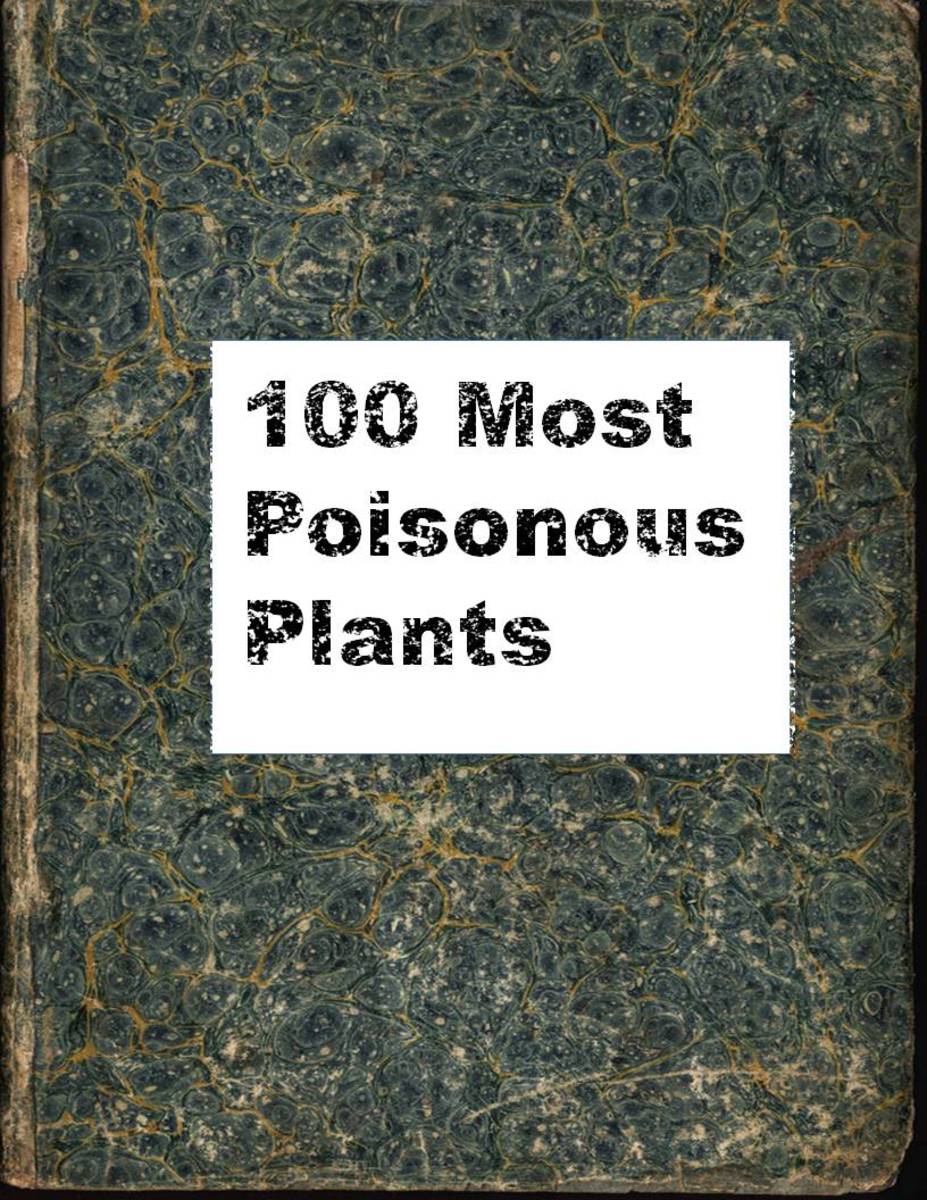 100 Most Poisonous Plants