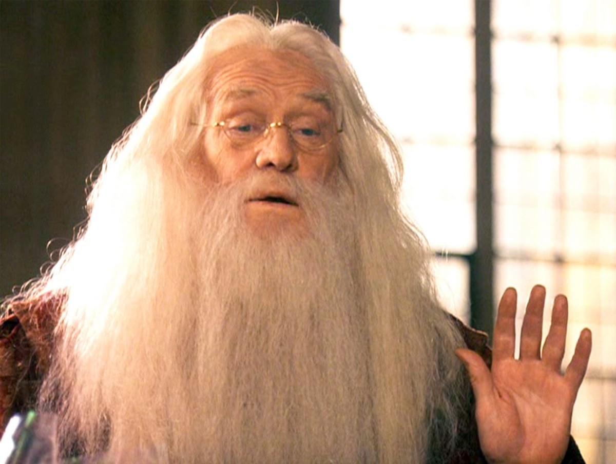 Does Dumbledore understand Parseltongue? This and other questions will be answered below!