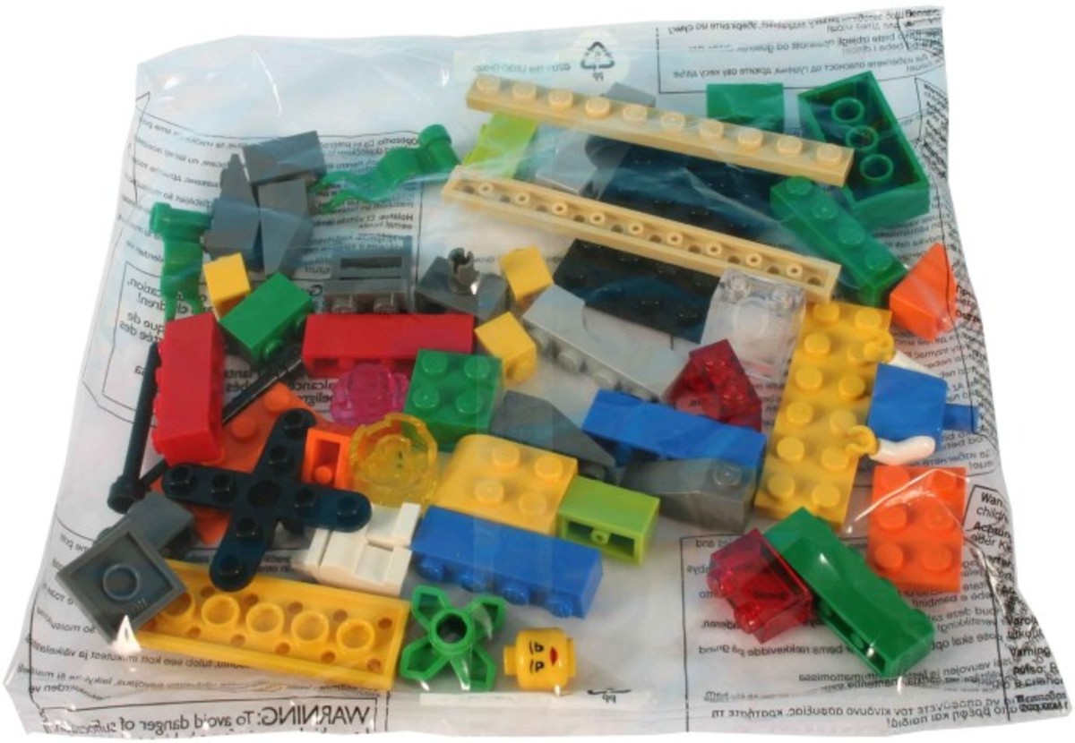 LEGO Window Exploration Bag