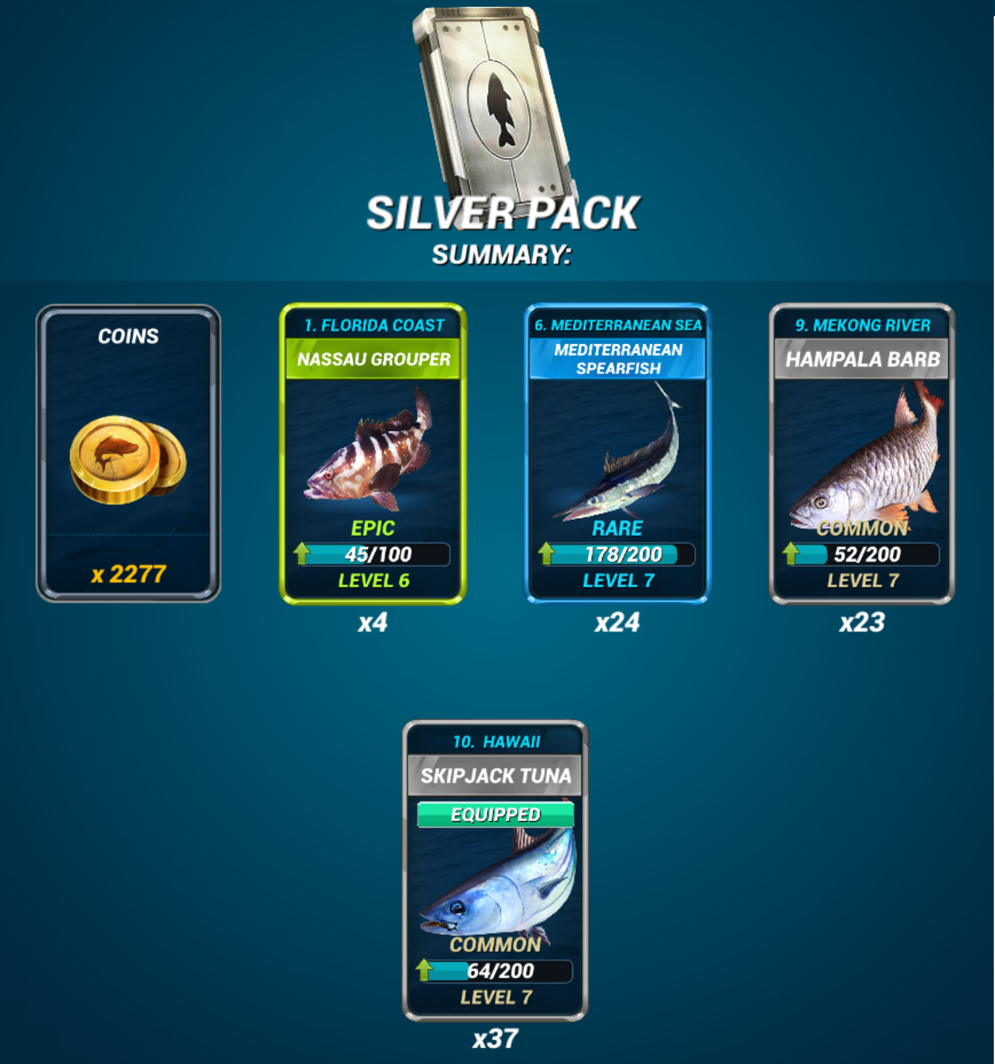 Example Silver Pack
